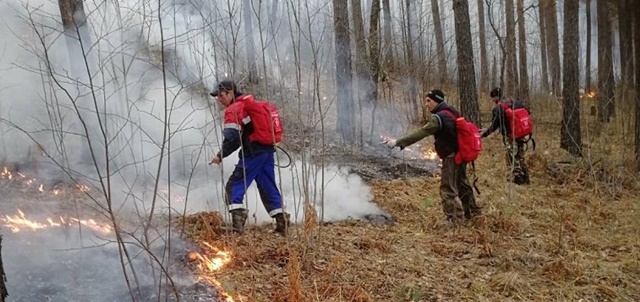 На Южном Урале введен особый противопожарный режим