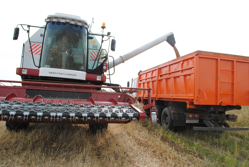 Хлеборобы района намолотили первые сто тысяч тонн зерна!