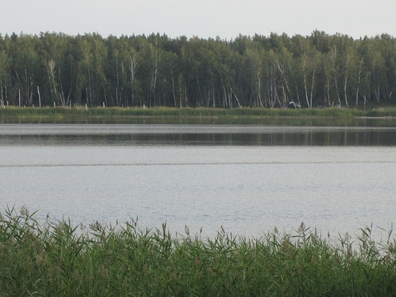 Озеро Сладкое вошло в топ удивительных озер
