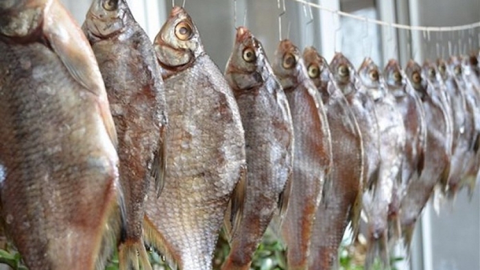 Южноуральцев предостерегают от покупки сушеной и вяленой рыбы