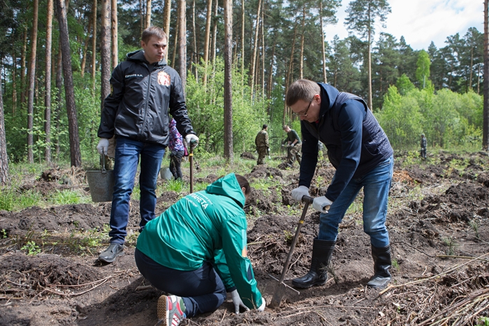 Алексей Текслер принял участие во Всероссийском дне посадки леса
