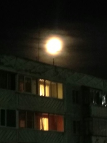 Октябрьцы наблюдали лунное затмение. Впереди — звездопад   