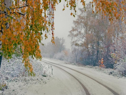 Погода в селе Октябрьское с 31 октября по 5 ноября