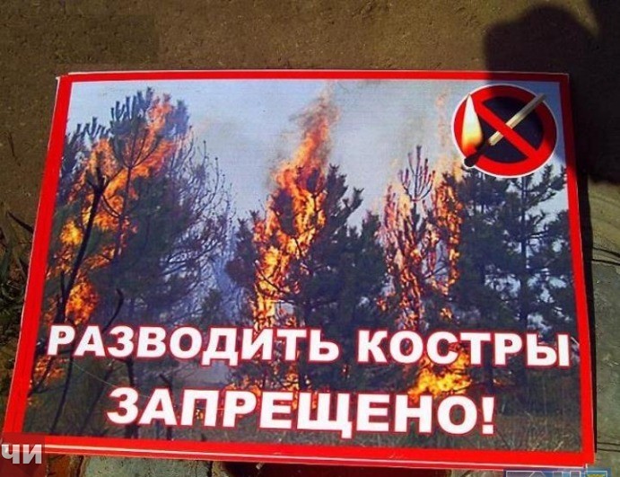 Во всей Челябинской области ввели противопожарный режим 