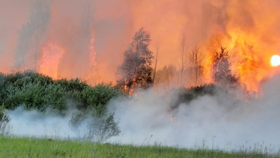 Недавние лесные пожары создавали угрозу  деревням