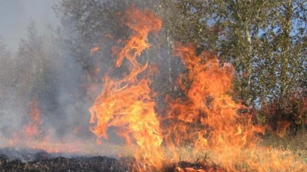 В Челябинской области ввели режим ЧС из-за лесных пожаров