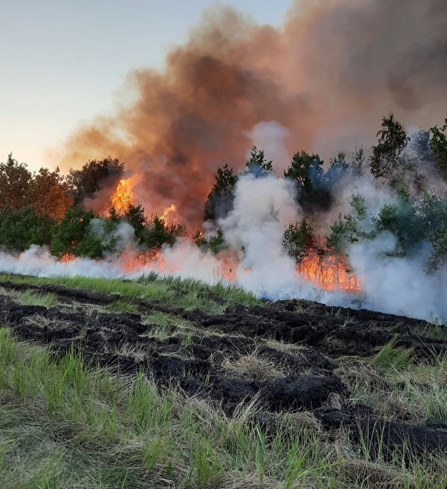 Недалеко от деревни Журавлиное бушевал сильный пожар