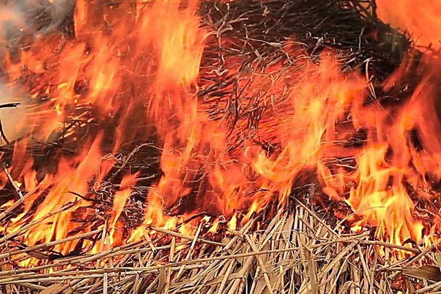 В огне сгорело 116 тонн сена