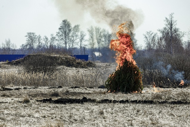 Виновникам лесных пожаров в Челябинской области грозят многотысячные штрафы